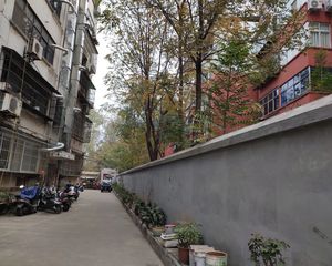 洛轴牡丹新村3室2厅南
