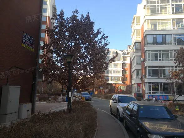 枫桦美地