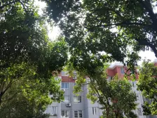 满5V1,同等大小阁楼面积且已装修+现浇房