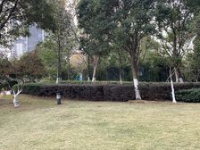 万达广场旁48克拉精装单身看房方便