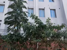 满五年税费少,近地铁9号线醉白池地铁站,总价低