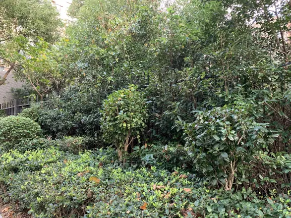 雅戈尔锦绣东城