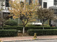 绿色家园上下俩层叠拼一楼加二楼可利用率很高