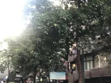 观音桥 嘉陵三村二房46.8万