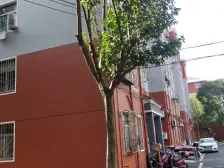 醉白池地铁站,运营总推荐,茸南苑低总价3房,诚售