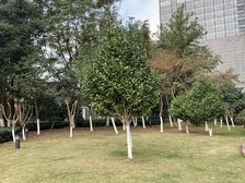 鄞州万达三号线旁落地窗公寓配套设施齐全