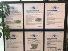 新小区近期交付的小区 小区环境优美 园林绿化好