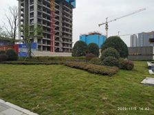 嘉陵区,大盘小区,房东诚心出售