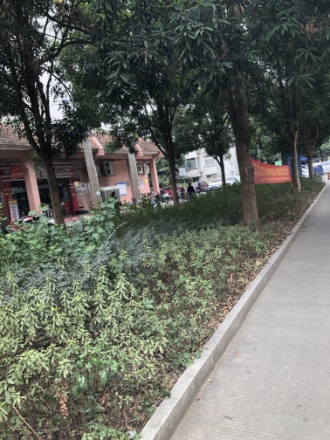 竹溪新兴苑