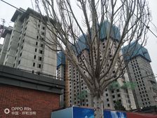 花园小区,采光视野开阔,楼层适中,跃层满足多种需求