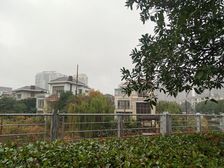满五唯一、适合家里人口多居住、自带前后大花园