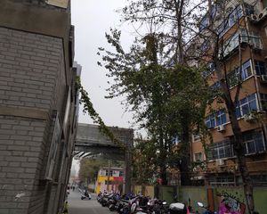 上海市场美伦天鹅堡电梯房中间楼层采光充足