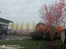 湘江城际空间站 3室2厅 南 北