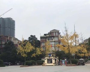 奥斯汀小镇2室1厅南