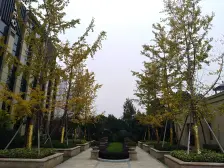 江声和平门口,九华奥园,精装修大四房,户型周正