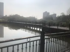 白云湖洋房,清水房,通风效果好,户型方正