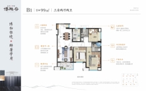 嘉鸿新城博雅府B1户型