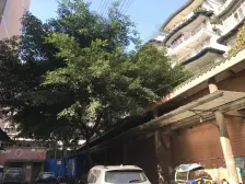 海德花园 3室1厅 东南