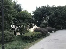 带露台 洋房 一梯两户 小区品质高 环境好