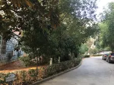 桃苑大街东方桃苑 百树外国语