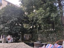 国顺路310弄2室1厅南北