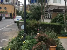 户型为1室1厅1厨1卫,功能齐全,能够满足基本生活需求