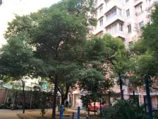 苑中园 南北通透,采光好 装修好,环镜优美 视野好,诚心出售