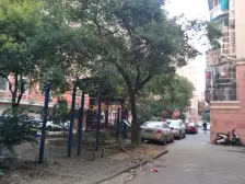 苑中园 南北通透,采光好 视野好,诚心出售