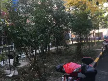 别错过!和平公园精品一室半,8/10号线双轨交汇