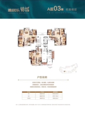 雅居乐锦城3室2厅1厨2卫建面117.10㎡