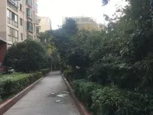 满五年 出门地铁 带电梯 宽敞飘窗 光线充足