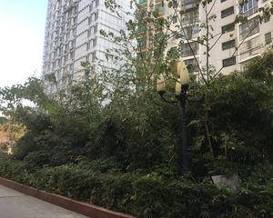 近靠地铁上下两层得房率高视野开阔太阳充足