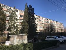 八角南路南北通透全明格局两居室