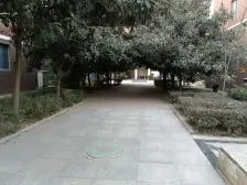 大河春天A区 大复式 户型好 诚心出售