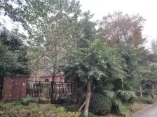 钓鱼嘴半岛 康田栖樾小高层三房83万