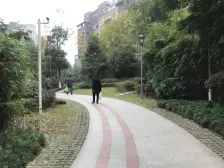 顶跃花园洋房,看房方便,安心卖 实际使用面积350平