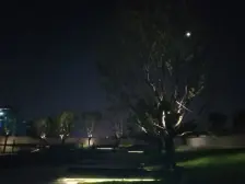 千灯湖保利天悦,近地铁,全新未入住。