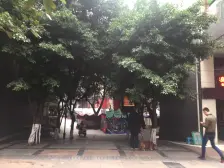 南坪 万达广场铂邸二房156万