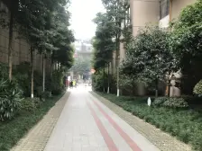 近西站 洋房 户型方正 看房方便 采光好