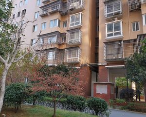 两梯两户纯板楼小高层近地铁配套齐全南北通