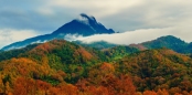 五指山风景