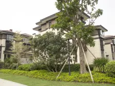 谢岗纯别墅区,低密度,居住舒适,绿化环