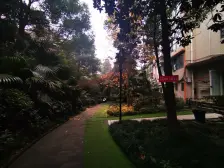 西区 锦域蓝湾三房80万