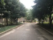 陈家桥 东林雅润一房38万