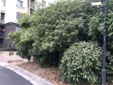 小区前排中间楼层业主诚心出售看中价位可谈