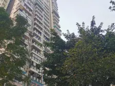 清水正规三房,户型方正,采光好,楼层好,业主诚心卖