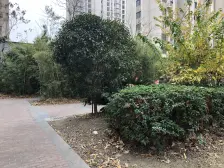 房东诚心卖!中楼层采光好!欢迎来看你的新家