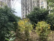 罗店·美罗家园宝欣苑五村·2室·1厅