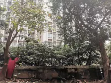 南坪商圈边 住家装修房 出行方便 采光好