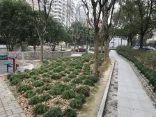 世纪公园全景的顶楼复式,送超大露台,空中别墅,挑高5米大厅